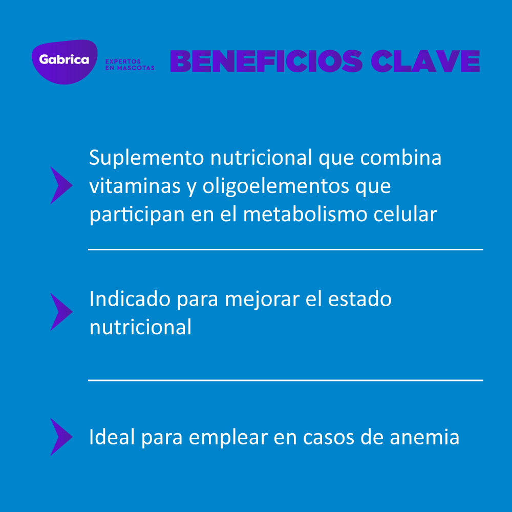 Suplemento Hemolitan Para Perro Y Gato