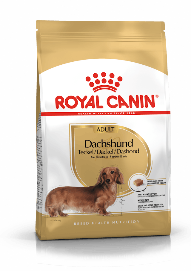 Alimento para Perro Royal Canin Dachshund Adult