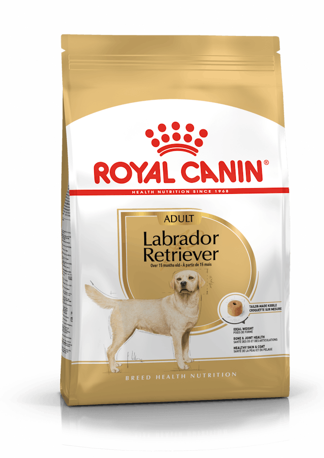 Alimento para Perro Royal Canin Labrador Retriever Adulto