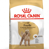 Alimento Para Perro Royal Canin Poodle Adulto