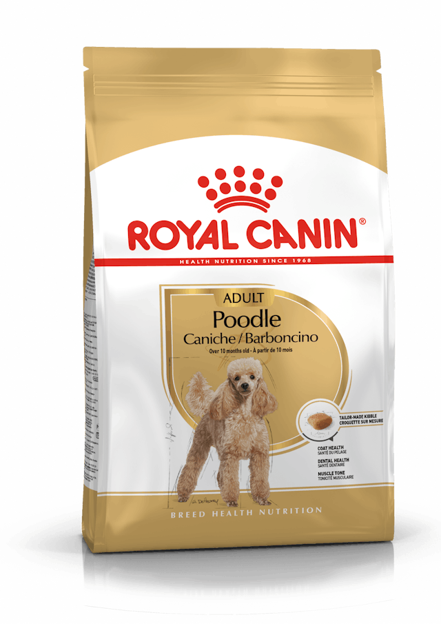 Alimento Para Perro Royal Canin Poodle Adulto