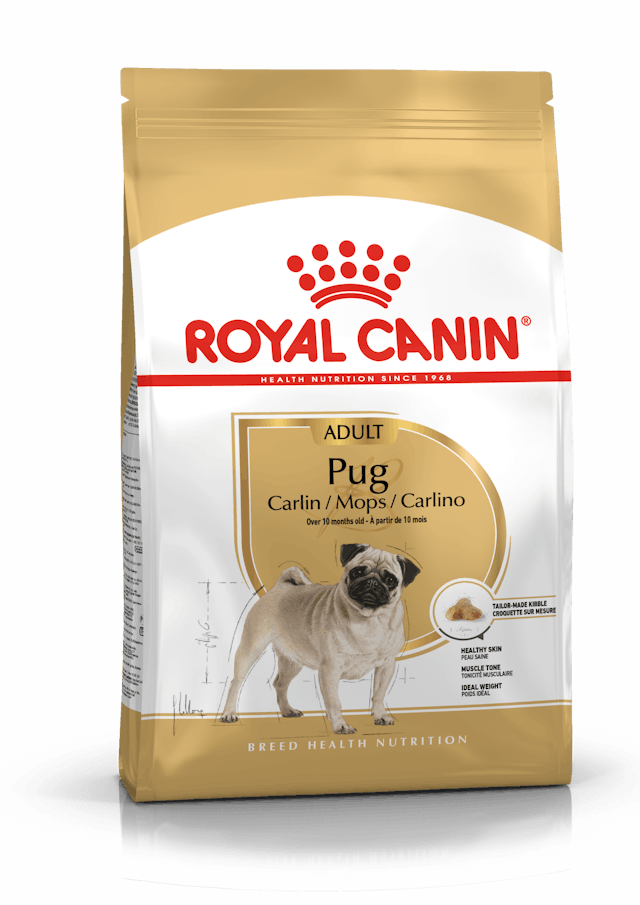 Alimento para perro Royal Canin Pug Adulto 3Kg