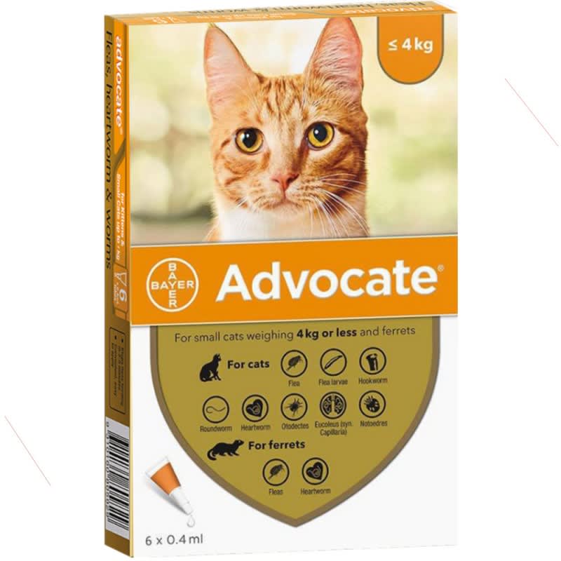 Antipulgas Advocate Para Gatos Pequeños Hasta 4 kg de Peso