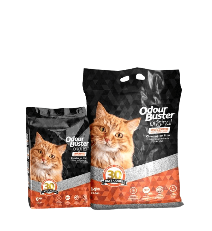 Arena Para Gato Odour Buster Original