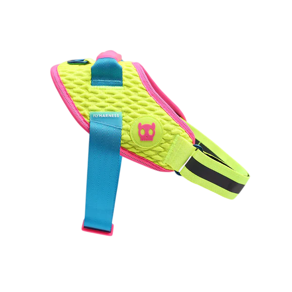 Flyharness Zeedog Cmyk