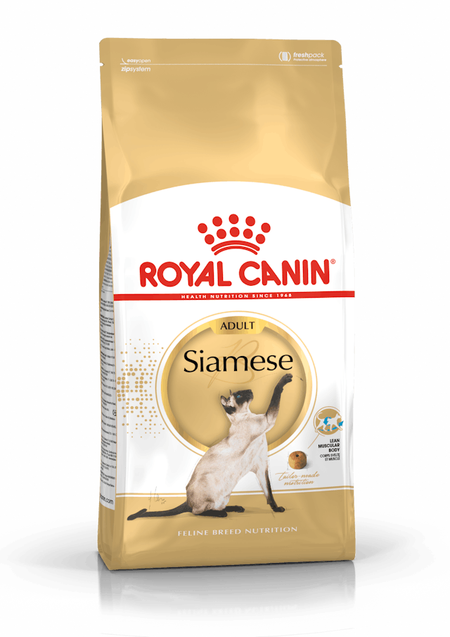 Alimento Para Gato Royal Canin Siamese Adulto 2 kg