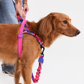 Softer Walk Harness Glitch Error #500