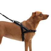 GOTHAM SOFTER WALK HARNESS LARGE