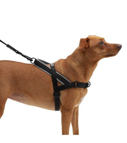 GOTHAM SOFTER WALK HARNESS LARGE