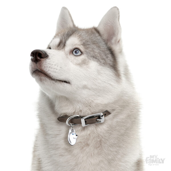 Placa de Identificación Husky Siberiano Gris.