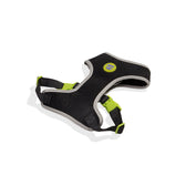 Pechera Zeedog Nox