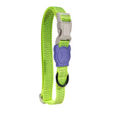 Collar Para Perro Zeedog Nox Lumen