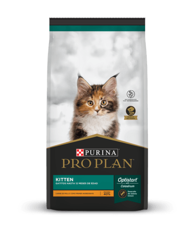 Alimento Para Gatito Proplan Kitten