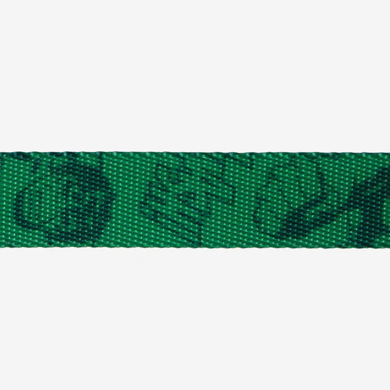 Collar Para Perro Zeedog Marvel Hulk