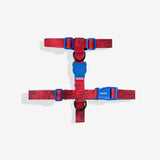 Collar en H Zeedog Marvel Spider-Man