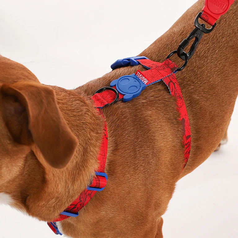 Collar en H Zeedog Marvel Spider-Man