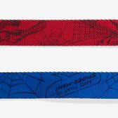 Collar en H Zeedog Marvel Spider-Man